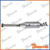 Filtres à Particules Diesel EURO5 pour FORD | DPF-FR-001, 27-6022
